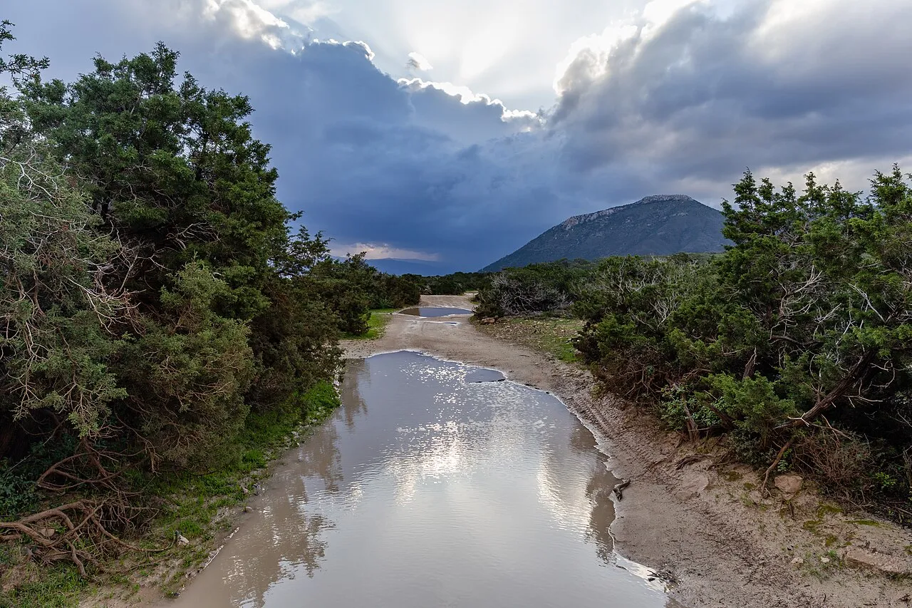 Een plas water op een weg in het Akamas-schiereiland op Cyprus, met wolken weerspiegeld in het water na regen.